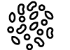Жмых